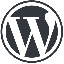 Wordpress seo tools